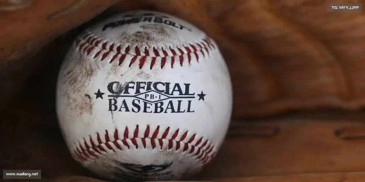 球王会官网入口——用汗水浇灌热爱，让运动点燃未来！🏃‍♂️